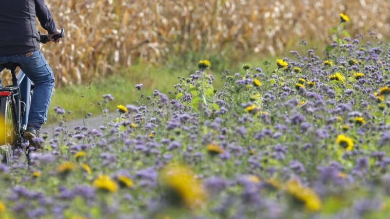 ADAC Radservice-Station eröffnet: Schnelle Hilfe bei der Fahrradpanne jetzt auch am Solegarten in Kevelaer