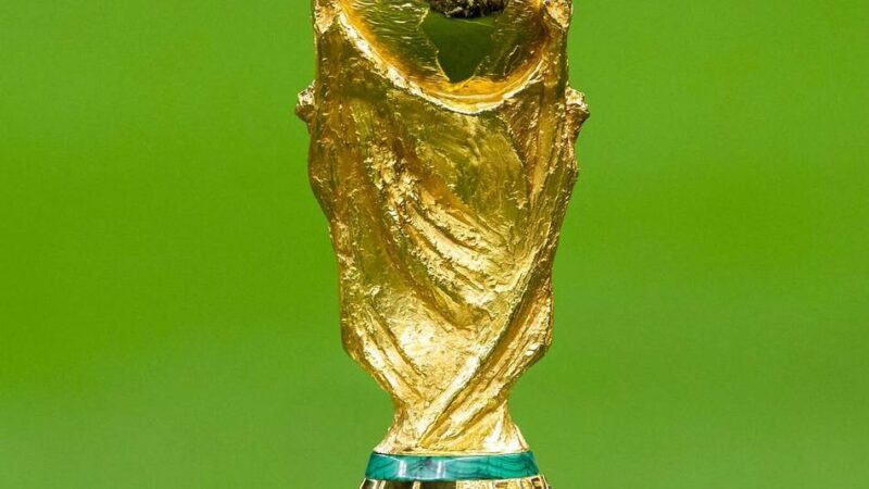 Greenwashing bei Fußball-WM in Katar: „Der Weltfußballverband hat die Verbraucher aus unserer Sicht getäuscht“