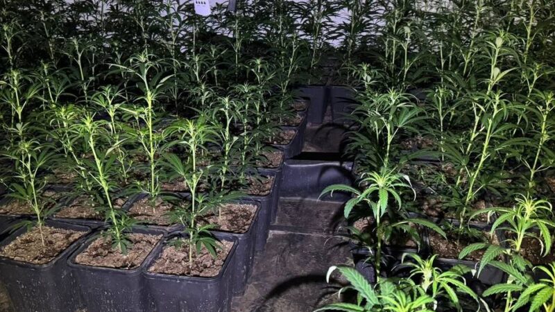 Mafia in NRW: Duisburger Ermittler nehmen Drogenring hoch – und die Spur führt nach Kalabrien