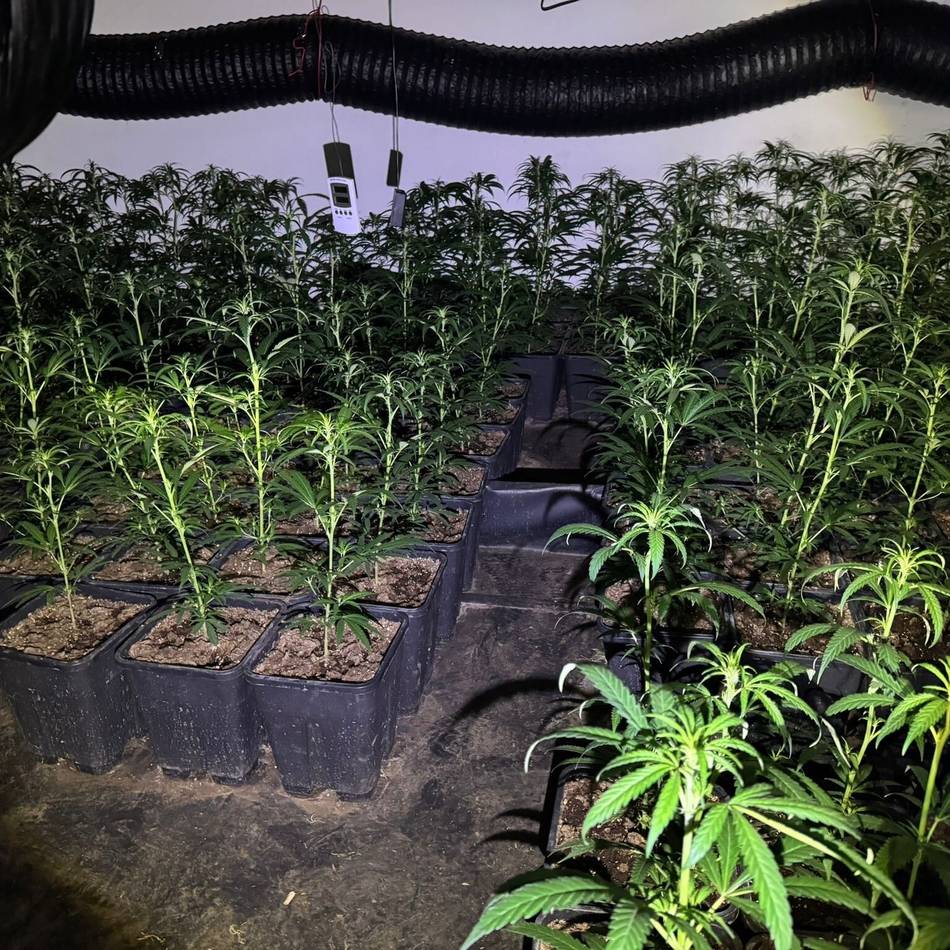 Mafia in NRW: Duisburger Ermittler nehmen Drogenring hoch – und die Spur führt nach Kalabrien