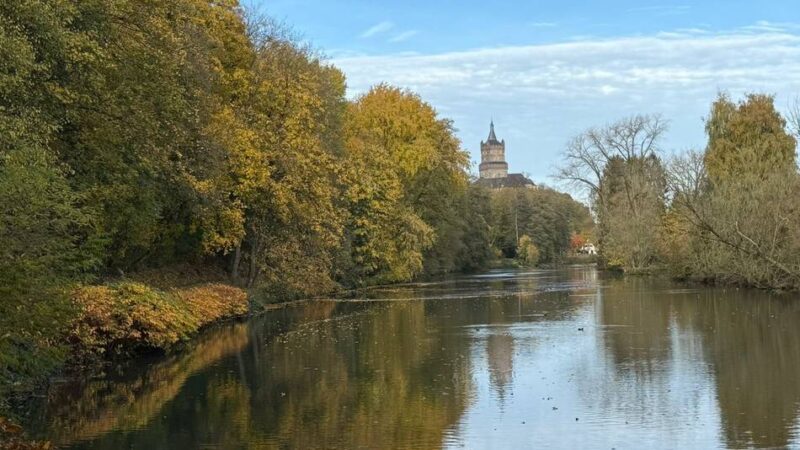 Buntes Naturschauspiel: Wir suchen Ihre schönsten Herbstfotos