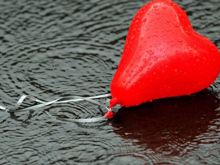 Gesundheitsvortrag in Mettmann: Wie Herz und Kreislauf lange gesund bleiben