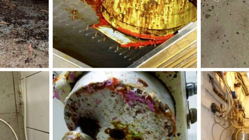 Hygieneverstöße in Düsseldorfer Restaurants: „Gravierende Mängel“ bei mehr als jeder dritten Kontrolle