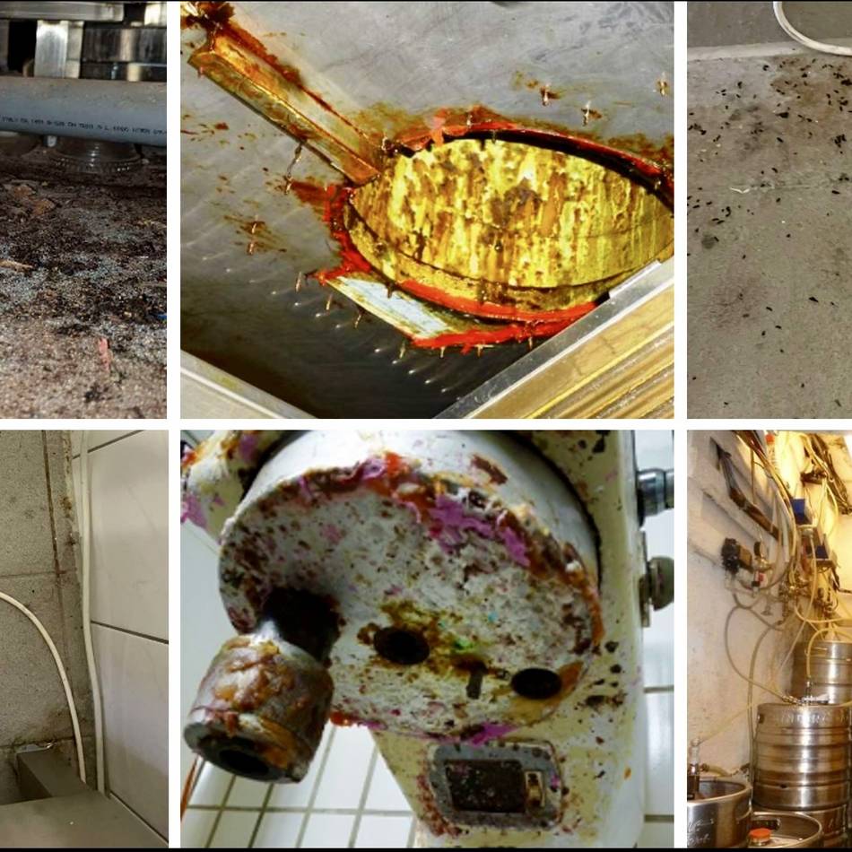 Hygieneverstöße in Düsseldorfer Restaurants: „Gravierende Mängel“ bei mehr als jeder dritten Kontrolle
