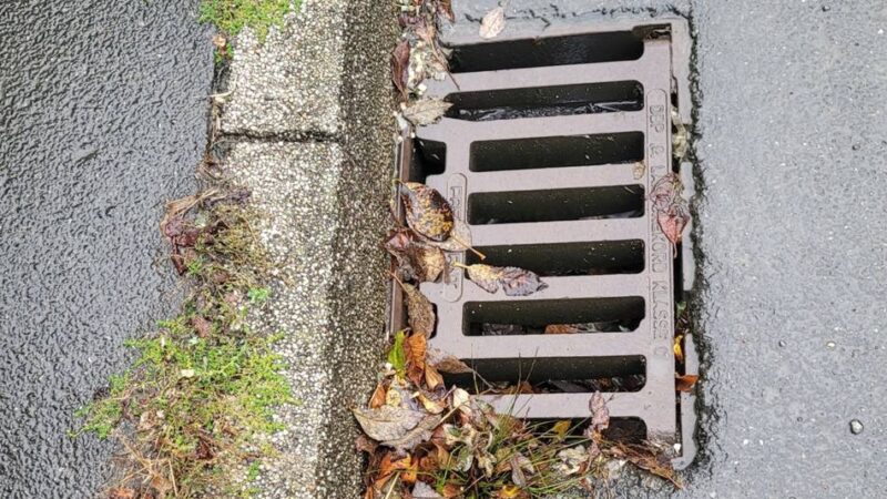 Herbstsäuberung in Hückeswagen: Stadt lässt wieder 
die Sinkkästen reinigen