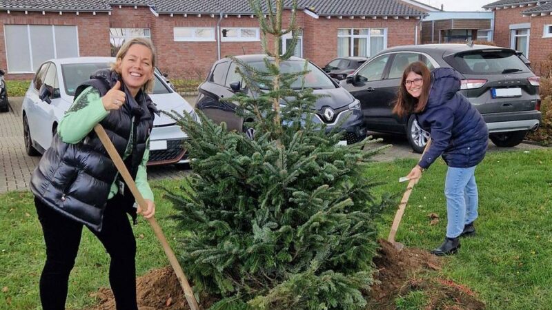 Weihnachtsaktion in Niederkrüchten: Dieser Weihnachtsbaum ist jetzt für alle da