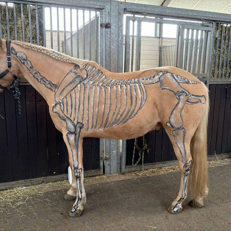 Veranstaltungen für Mensch und Tier: Start in die Wintersaison auf dem Jägerhof