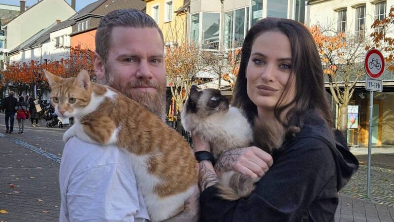 Zwei Tätowierer und ihr größtes Abenteuer: Mit Nadel, Navi und zwei Katzen in die große Freiheit