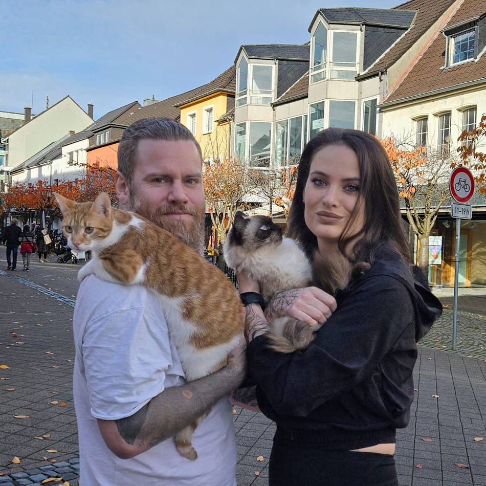 Zwei Tätowierer und ihr größtes Abenteuer: Mit Nadel, Navi und zwei Katzen in die große Freiheit