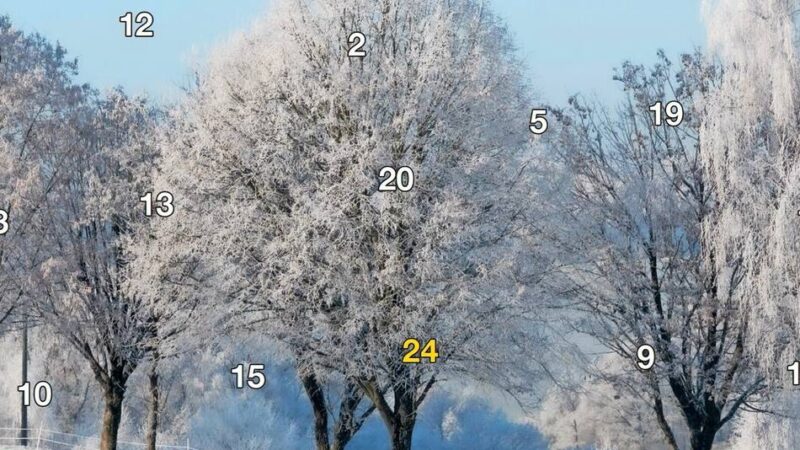 Verlosung: Anrufen und Adventskalender gewinnen