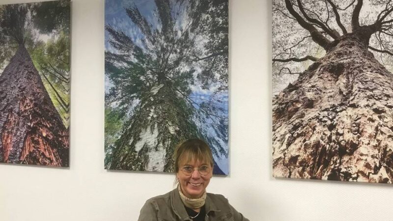 Fotoausstellung im Hückeswagener Haus Zach: Wenn Natur auf Kunst trifft, können „Baumwelten“ entstehen