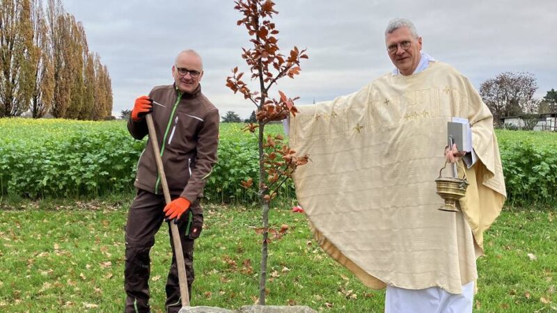 Katholische Gemeinde in Meerbusch: Eine Blutbuche für Missbrauchsopfer in der Kirche