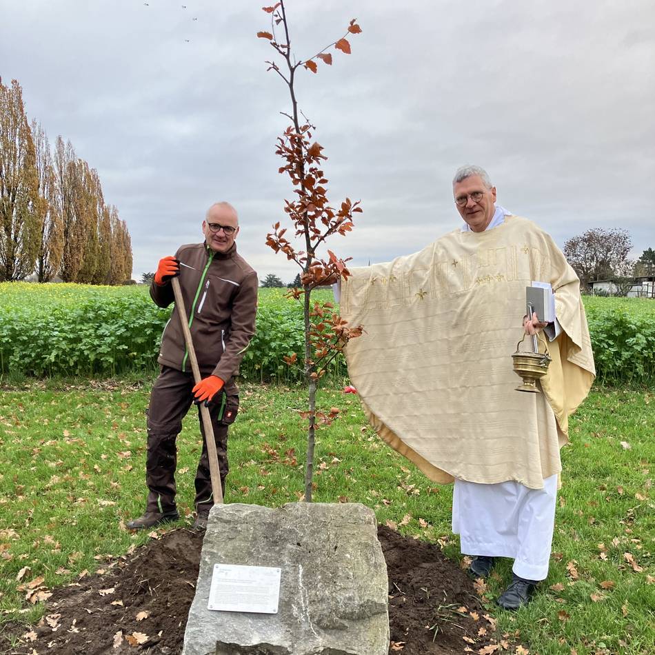 Katholische Gemeinde in Meerbusch: Eine Blutbuche für Missbrauchsopfer in der Kirche