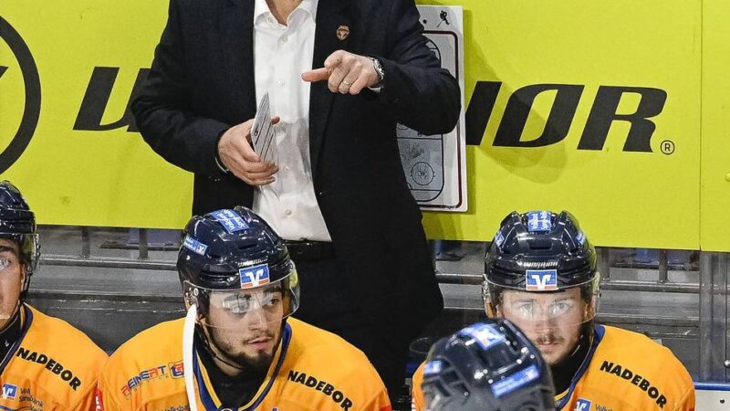 „Düsseldorf wird immer etwas Besonderes für mich sein“: Christof Kreutzer trifft auf seine alte Liebe DEG – kein Spiel wie jedes andere