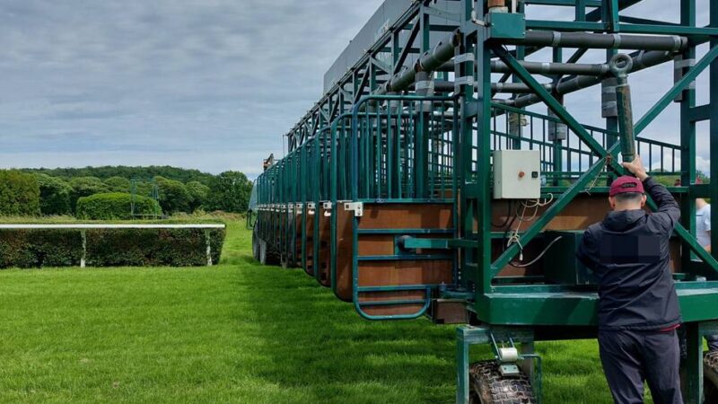 Pferd stürzt in der Startbox: Anzeige gegen Krefelder Rennclub wegen Vorfällen vor Rennstart