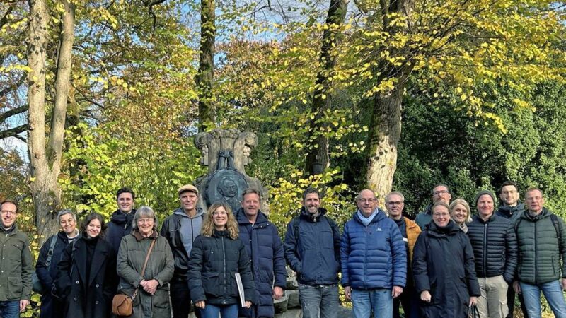 Experten diskutieren in Moers: Die Folgen des Klimawandels für alte Baumbestände