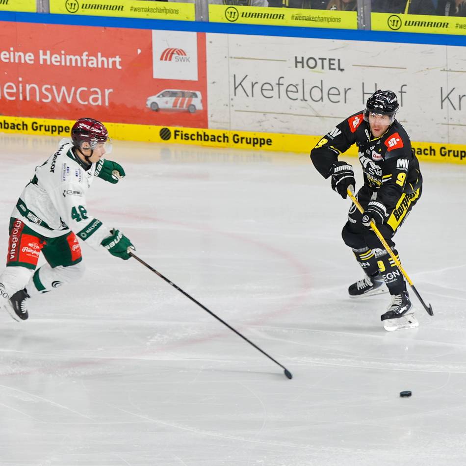 Dritter Sieg in sechs Tagen: 4:1 in Rosenheim – Pinguine runden die perfekte Auswärtswoche ab