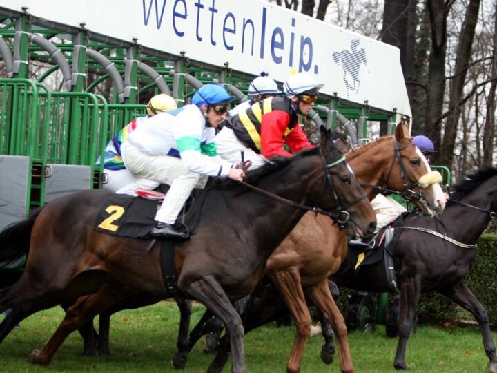 Verlosung: Karten fürs Galopprennen zu gewinnen