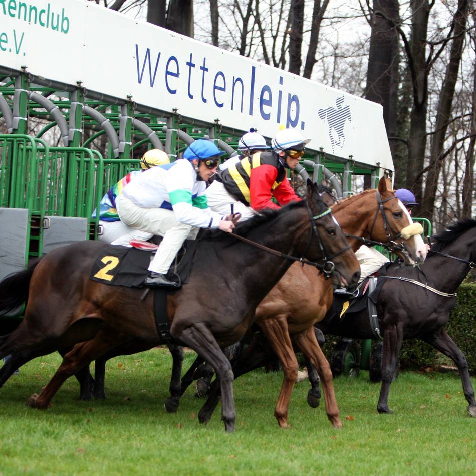 Verlosung: Karten fürs Galopprennen zu gewinnen