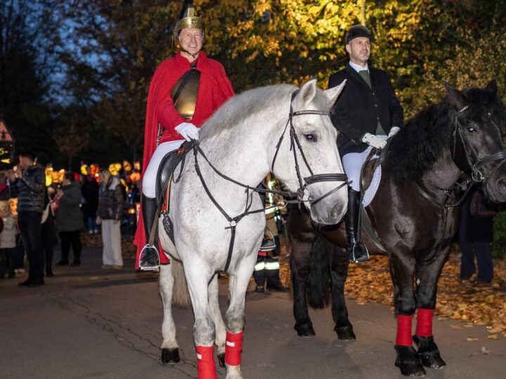 Martinsfest in Meerbusch: „Ein so schönes Martinsfeuer kenne ich aus keiner anderen Stadt“