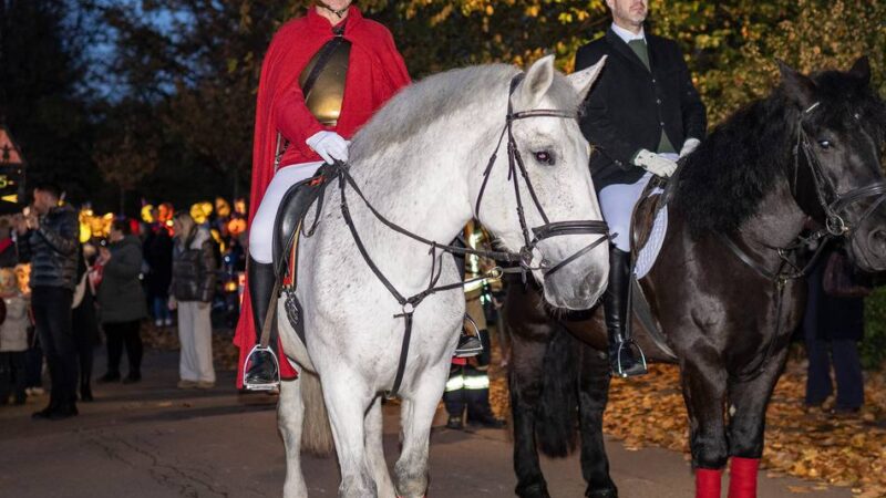 Martinsfest in Meerbusch: „Ein so schönes Martinsfeuer kenne ich aus keiner anderen Stadt“