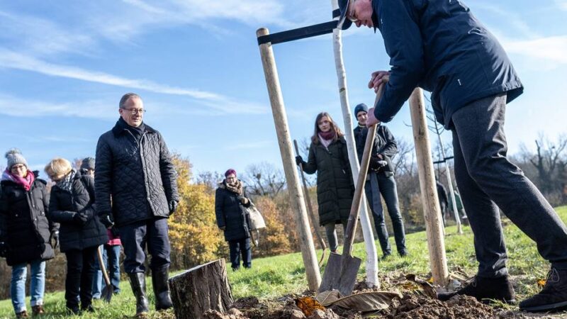 „Eine Ehe ist harte Arbeit“: Bewegende Momente bei Hochzeitsbaum-Aktion in Neuss