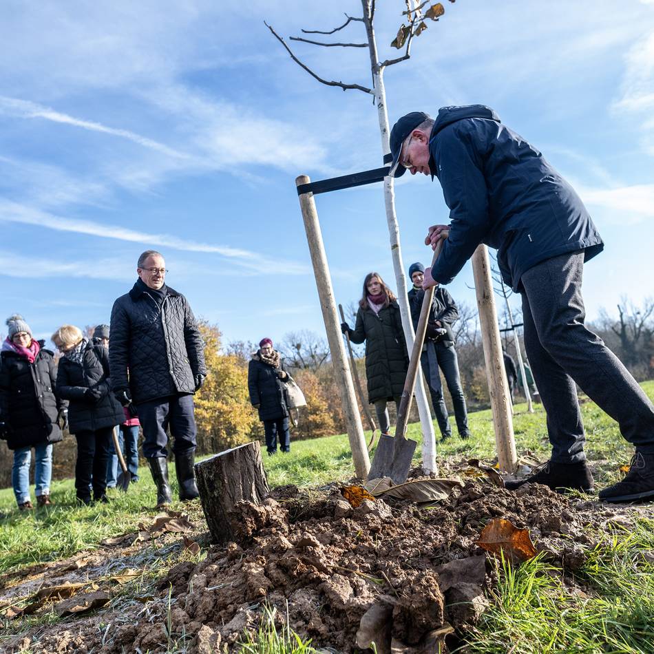 „Eine Ehe ist harte Arbeit“: Bewegende Momente bei Hochzeitsbaum-Aktion in Neuss