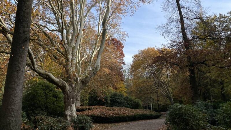 Mönchengladbacher muss ins Krankenhaus: 51-Jähriger von Hund angegriffen – sein Vierbeiner kommt knapp mit dem Leben davon