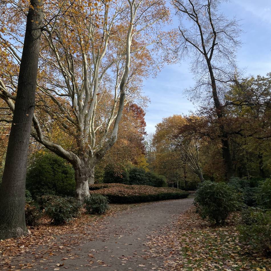 Mönchengladbacher muss ins Krankenhaus: 51-Jähriger von Hund angegriffen – sein Vierbeiner kommt knapp mit dem Leben davon