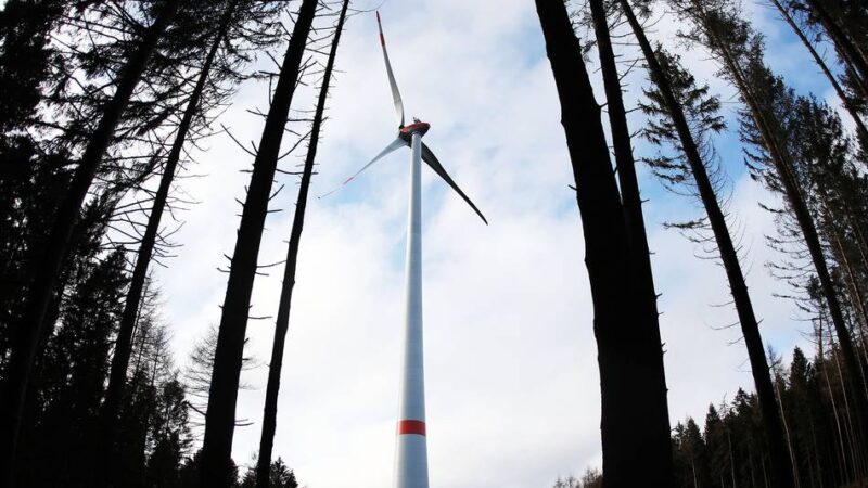 „Wir dürfen nicht tatenlos zusehen“: Wie die niederländische Politik auf Windräder im Reichswald schaut