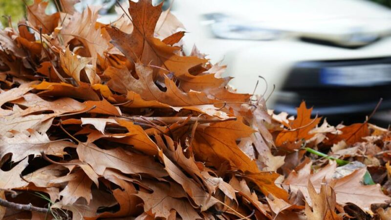 Sicher unterwegs im Herbst und Winter: Polizei warnt Zweiradfahrer vor Unfallgefahren