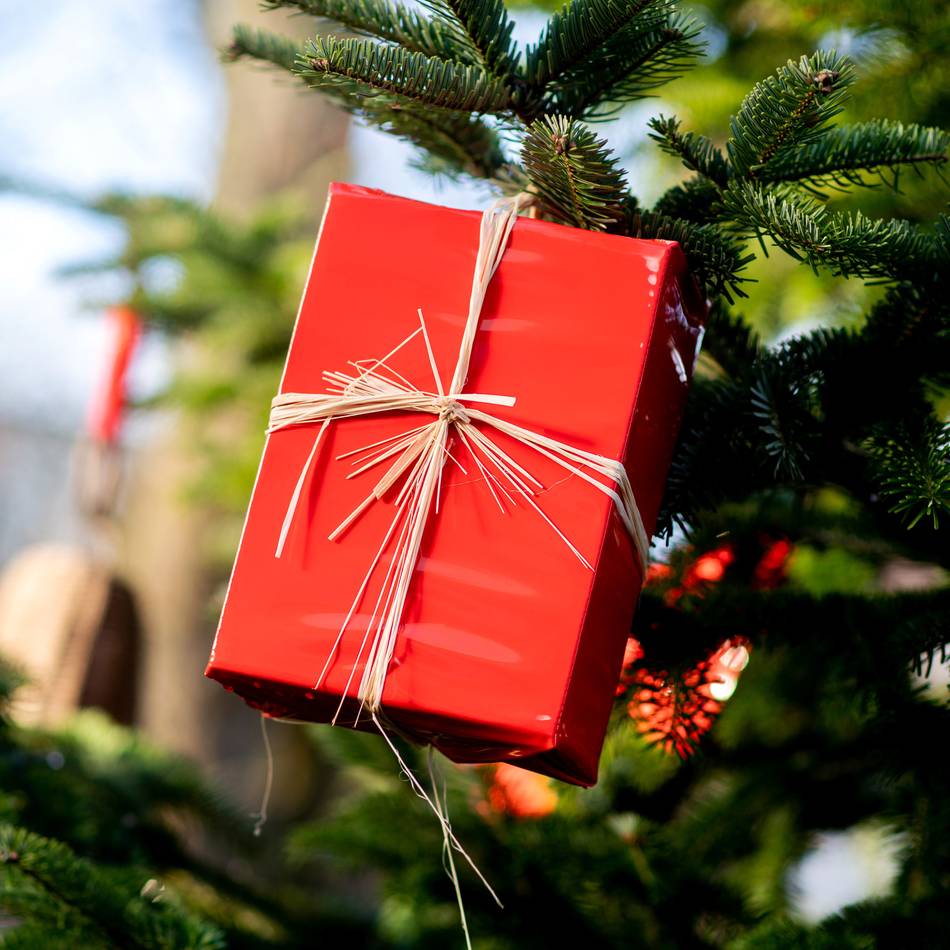 Ein Dorf feiert zusammen:  „‚Wetten schmückt den Tannenbaum‘ ist längst mehr als ein Fest – es ist ein Stück Heimatgefühl und gelebte Gemeinschaft“