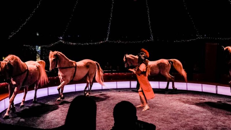 Tradition zur Adventszeit: Was der Klever Weihnachtscircus in diesem Jahr zu bieten hat