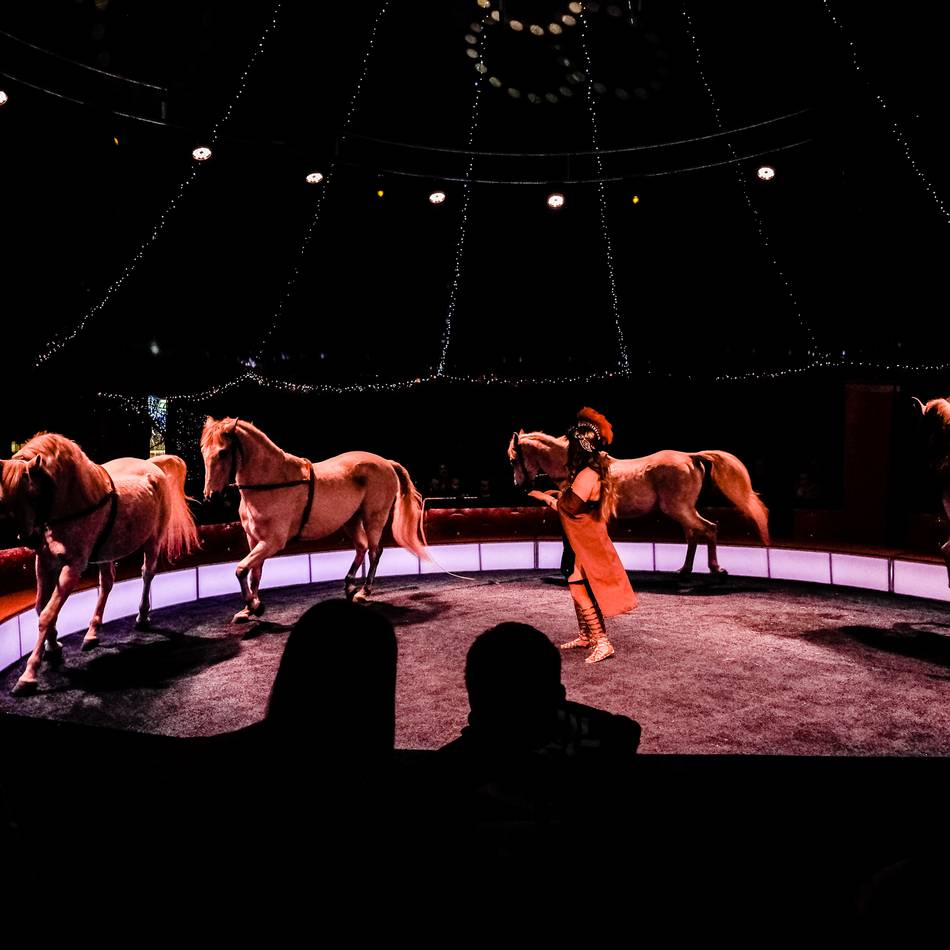 Tradition zur Adventszeit: Was der Klever Weihnachtscircus in diesem Jahr zu bieten hat