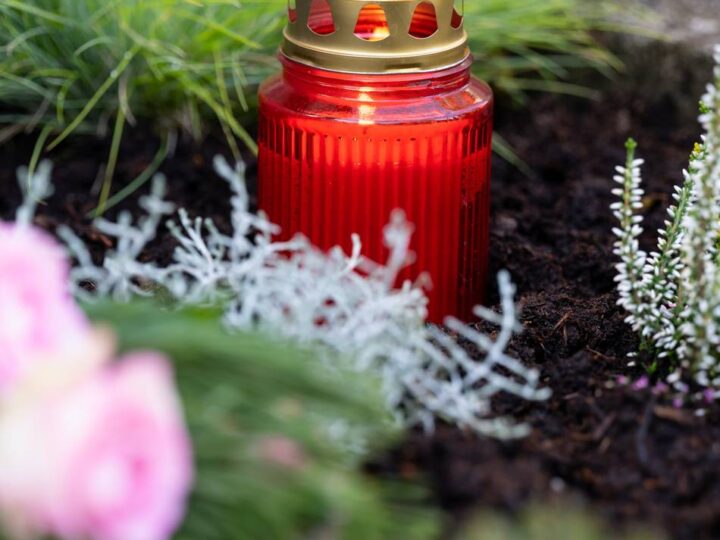 Landesstatistik NRW: Das sind die häufigsten Todesursachen in Mönchengladbach