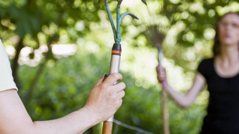 Neue Schiedsperson für Leverkusen: Friedensrichter für die Rheinorte gesucht