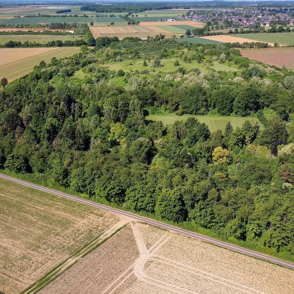 Stadtentwicklung in Wegberg – Rückbau, Umbau und Neubau im Überblick: Rückbau des Lahey Parks und umfassende Bauprojekte im Stadtgebiet starten