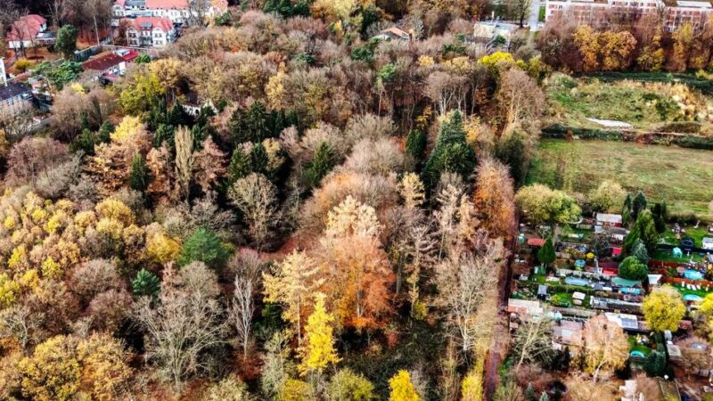 In Langenfeld: Grünes Licht für Forensik-Neubau und Erweiterung in der LVR-Klinik