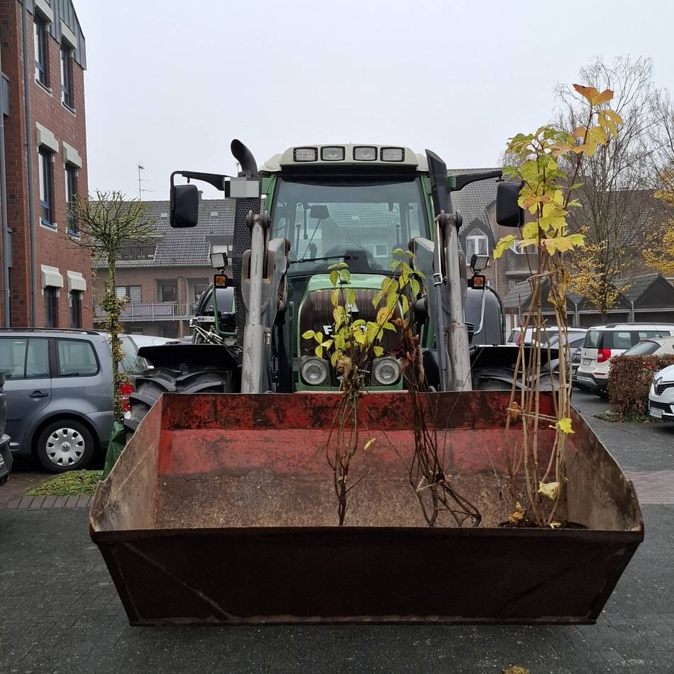 Aktion in Nettetal: Stadt verteilt Bäume, Sträucher und Hecken an Bewerber