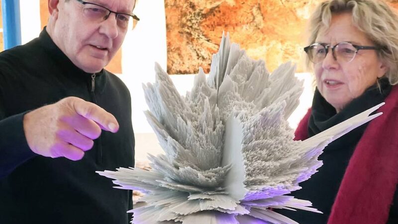 Neue Ausstellung im Kunstraum Hilden: „Der Erde die Haut abziehen“