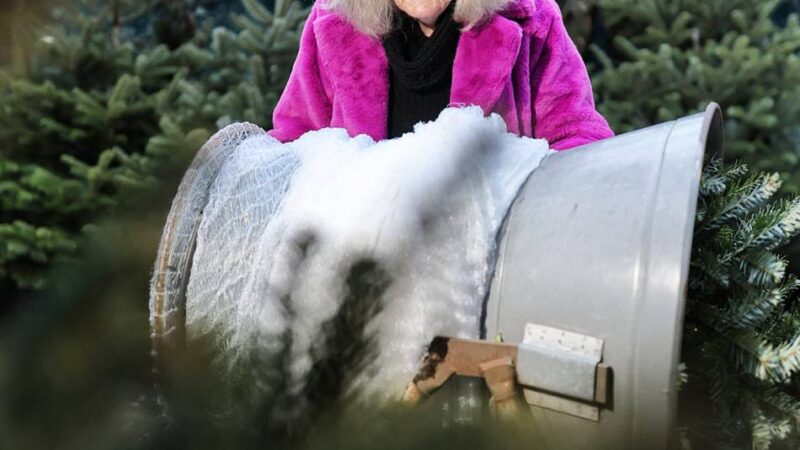 91-jährige Hildenerin verkauft Weihnachtsbäume: Alle Jahre wieder – Bäume von Gerda Grenda