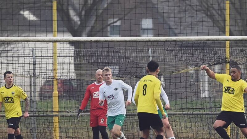 „Geld soll keine Rolle mehr spielen“: So plant die SV Hönnepel-Niedermörmter ihre Zukunft auf dem bebenden Acker