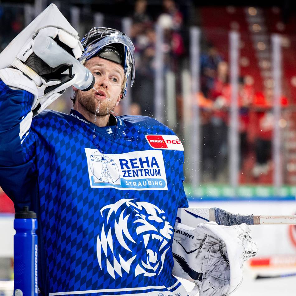 Die ehemaligen DEG-Spieler in der DEL: Haukeland grüßt von der Tabellenspitze, Blank macht Entwicklungsschritt