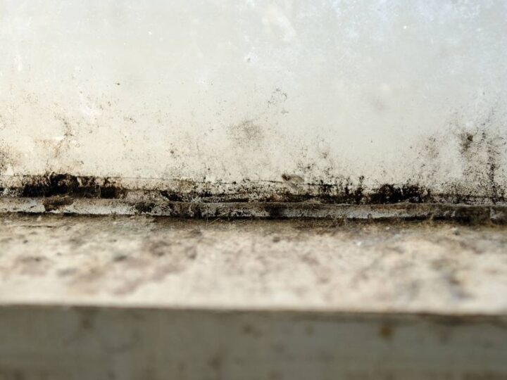 Tipps der Verbraucherzentrale: Dem Schimmel keine Chance geben