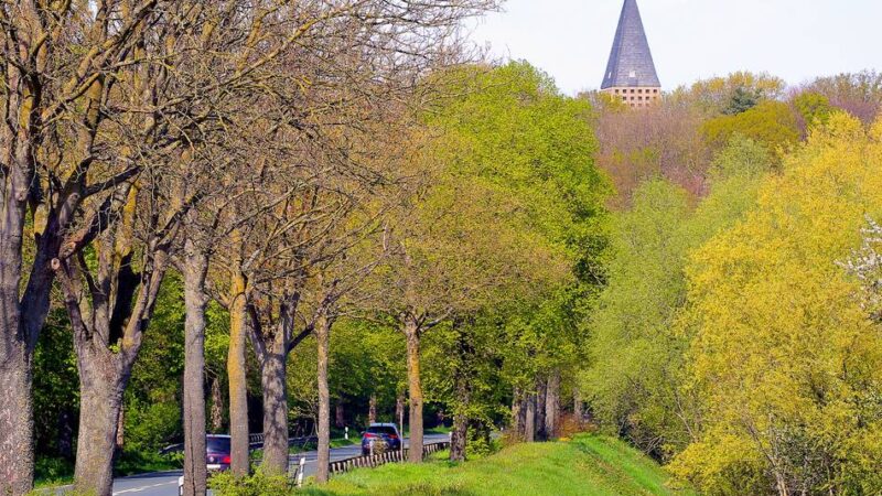 Deichverband stellt sich Bürgern: Weiter Kritik an geplanter Hochwasserschutzmauer in Birten