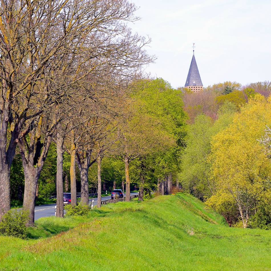Deichverband stellt sich Bürgern: Weiter Kritik an geplanter Hochwasserschutzmauer in Birten
