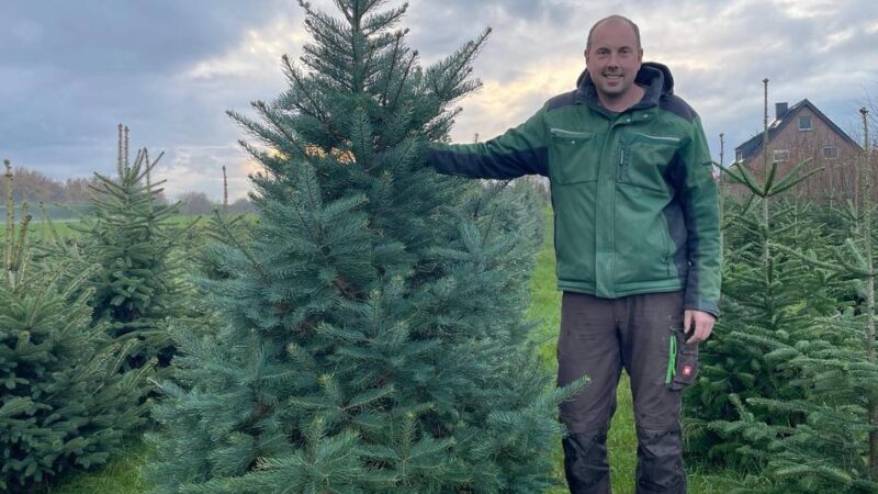 Ab Samstag: Bei Kern in Budberg gibt’s ab Samstag Tannenbäume
