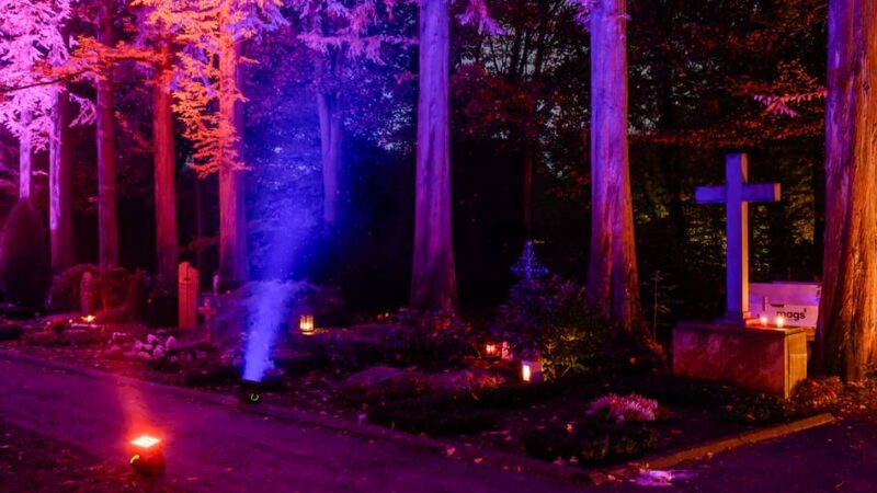 Aktion in Mönchengladbach an Allerheiligen: „Illumina 2025“ lässt Hauptfriedhof und Bunten Garten strahlen