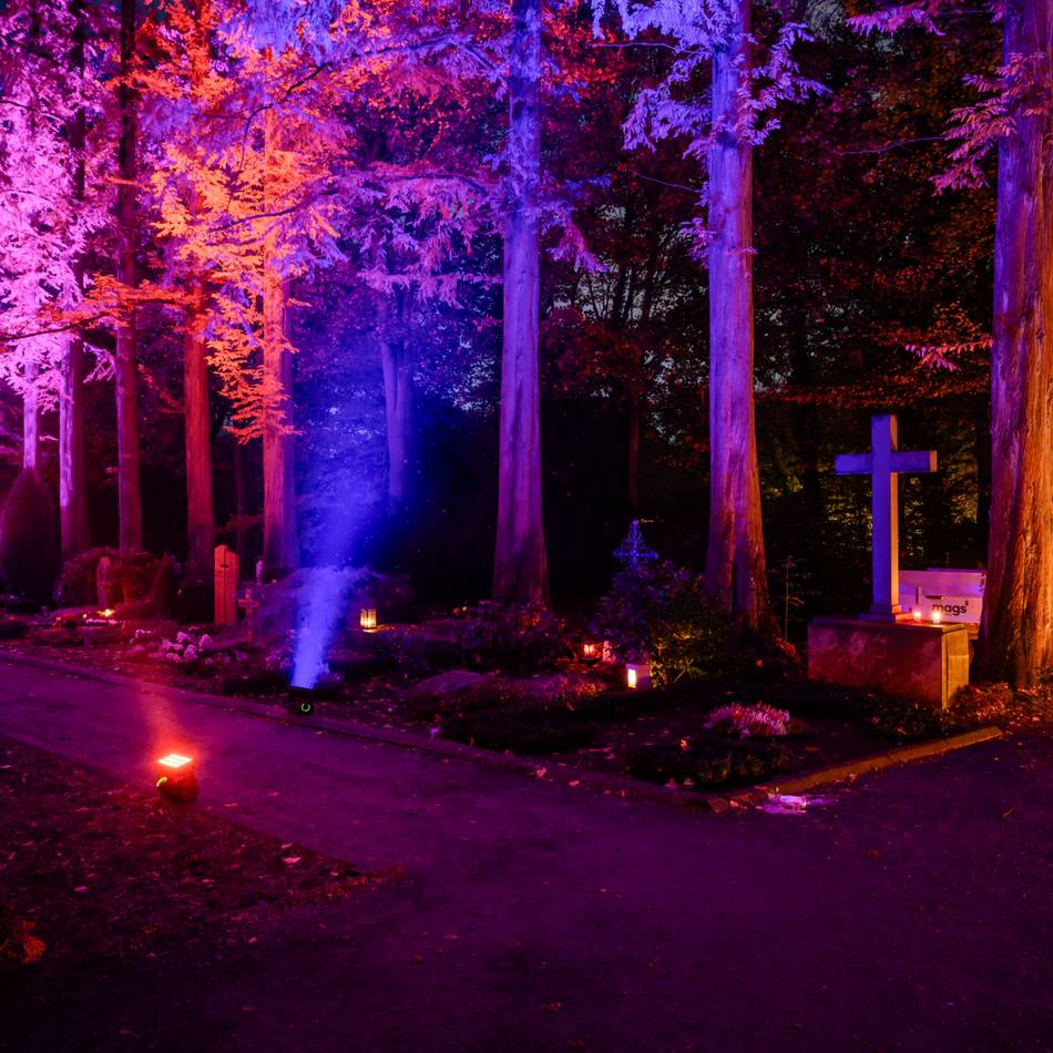 Aktion in Mönchengladbach an Allerheiligen: „Illumina 2025“ lässt Hauptfriedhof und Bunten Garten strahlen