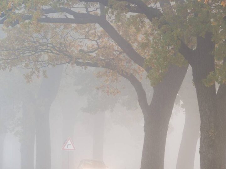 Zum Sonntag: Mein Freund, der November